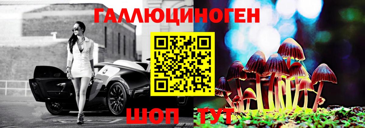 Псилоцибиновые грибы Psilocybine cubensis Петрозаводск