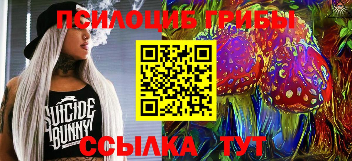 Петрозаводск  Галлюциногенные грибы прущие грибы  Вход с VPN 